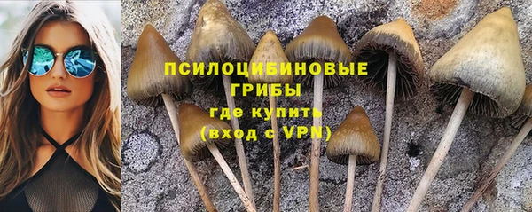 MDMA Premium VHQ Арсеньев