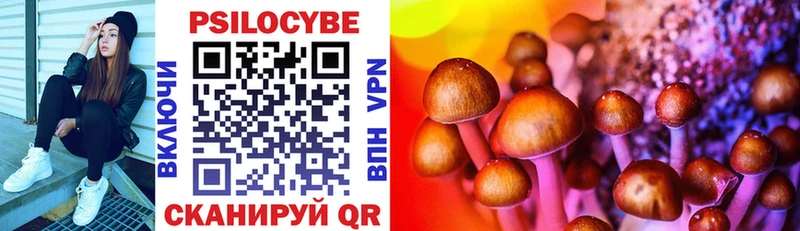 Псилоцибиновые грибы Cubensis  MEGA   Кущёвская 